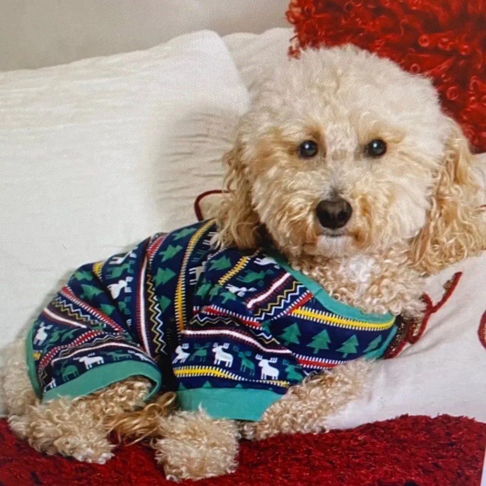 Dog Holiday Pajamas - Green Patterned Christmas Sleepwear for Dogs